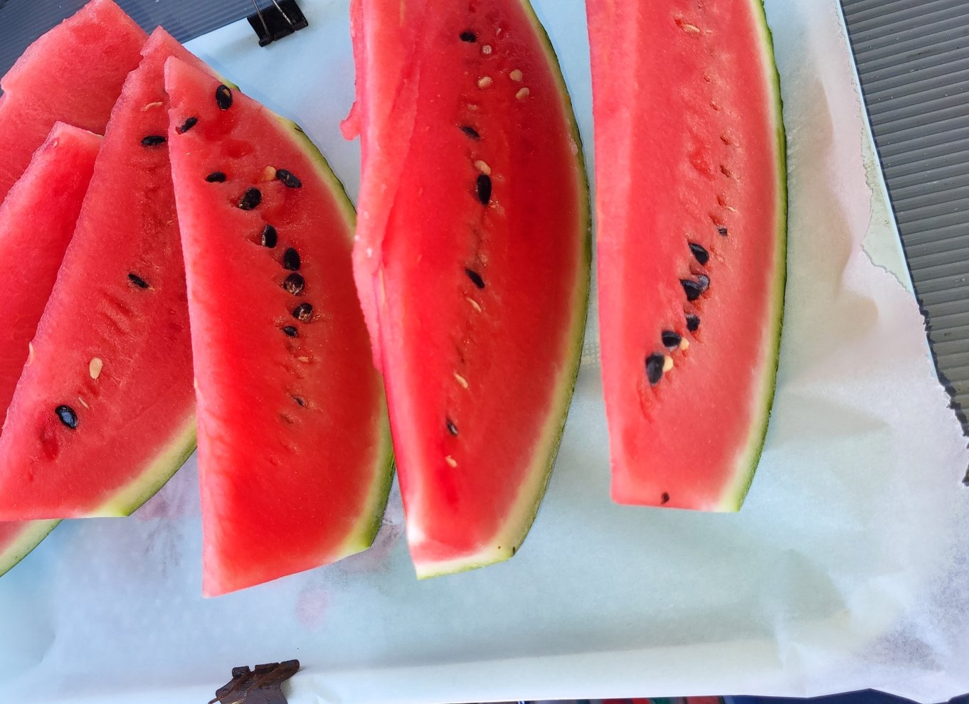 Rhodos: Fisketur, snorkling, grill og professionel guide