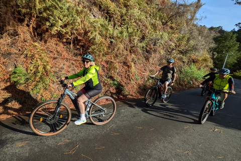Madeira West coast: Guided Sightseeing E-Bike Tour