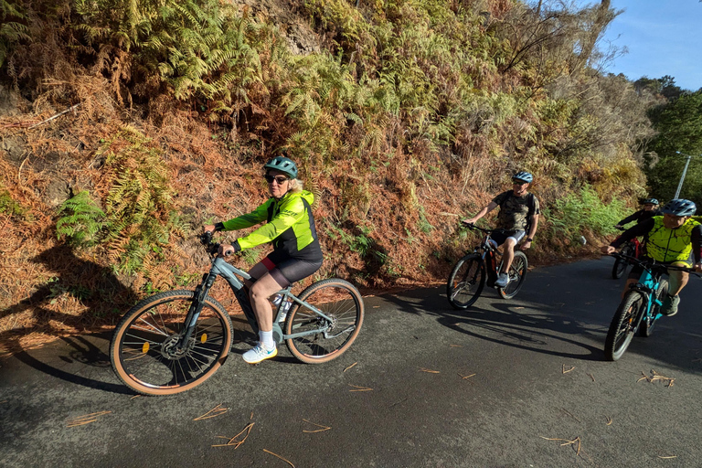 Madeira West coast: Guided Sightseeing E-Bike Tour