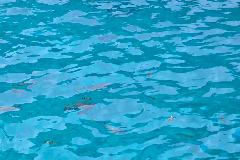 Similan Catamaran Small Group Day Tour From Phuket/Khao Lak