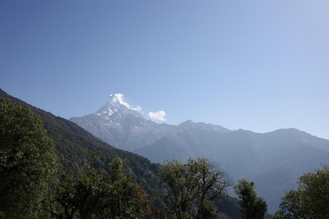 Au départ de Katmandou : 6 jours de randonnée guidée au camp de base du Mardi Himal