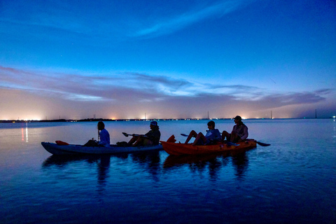 Merritt Island: Small-Group Clear Kayak Bioluminescence Tour