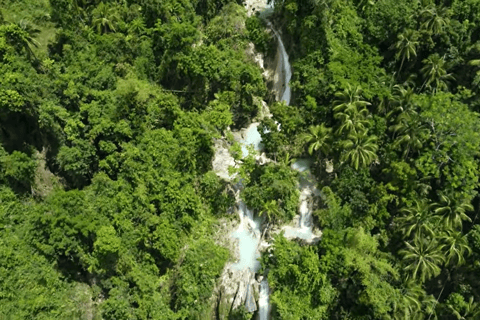 Cebú:Excursión en grupo con tiburón ballena, cascada y carrera de sardinas+Comida