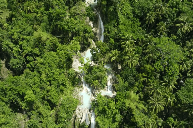 Cebú:Excursión en grupo con tiburón ballena, cascada y carrera de sardinas+Comida