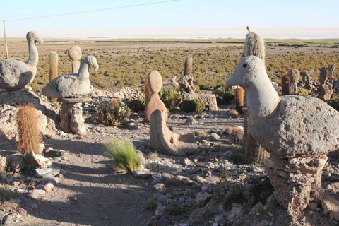 2-daagse excursie naar de Salar de Uyuni