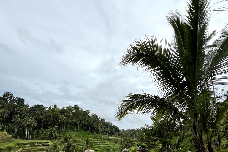 Bali Bathing Holy Spring Water or Purification