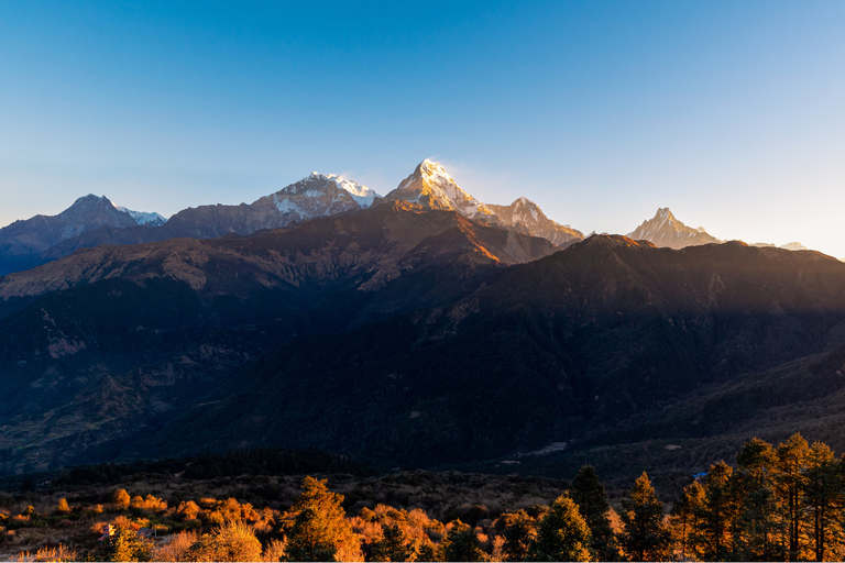 Pokhara: 2-Day Ghorepani Poon Hill Adventure Customize Meal Package