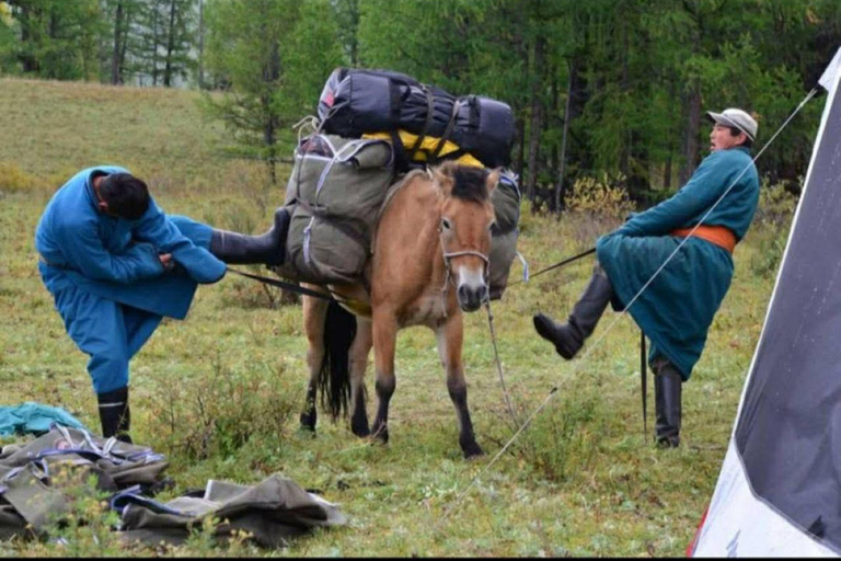 Ulaanbaatar: 2-Day Nomadic Life Experience. Live like local