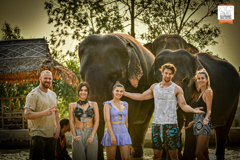 Pattaya: Elephant Jungle Sanctuary Half-Day Tour with Meal