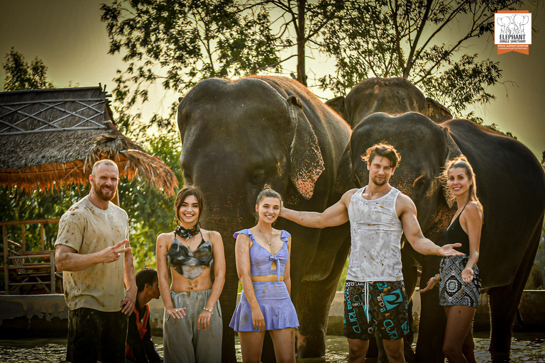 Bangkok : Visite d'une demi-journée du sanctuaire de la jungle des éléphants de Pattaya