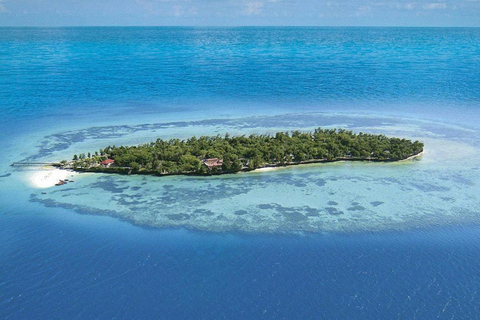 Zanzibar: Prison Island & Stone Town Private Tour + Pickup PRIVATE TOUR: with a designated meeting point - No pickup