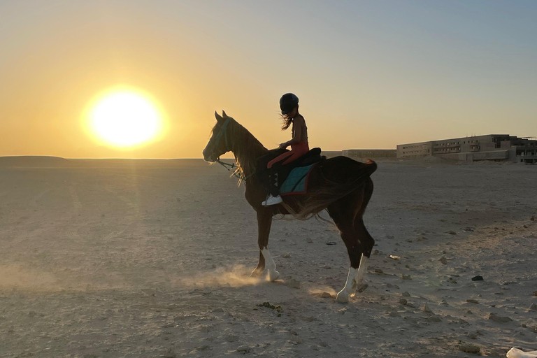 Soma Bay: Reittour mit HoteltransferSoma Bay: Reittour ohne Hoteltransfer