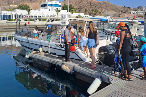 Mascate: Observación de delfinesObservación de delfines