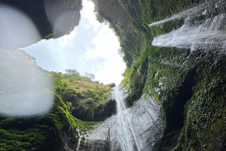 Madakaripura Wasserfall, Bromo Sonnenaufgang &amp; Ijen Krater (3D/2N)