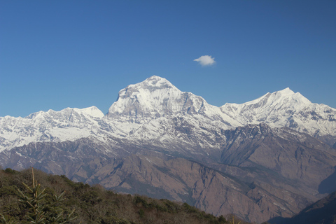 De Katmandu: Trekking de 13 dias na colina Poon e no acampamento base do AnnapurnaDe Katmandu: 13 dias de caminhada na Colina Poon e no acampamento base do Annapurna