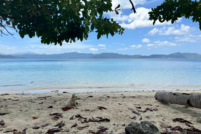 Palawan : Transferts privés à l&#039;aéroport de San VicenteDe l&#039;aéroport de San Vicente à El Nido