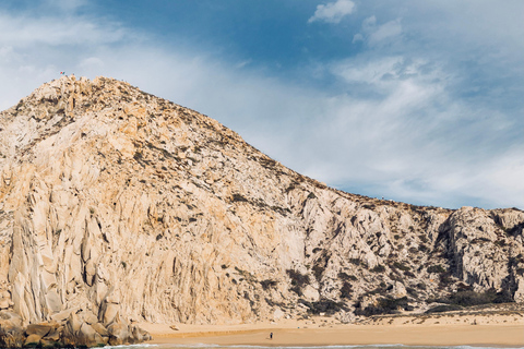Ocean Safari in San Jose del Cabo