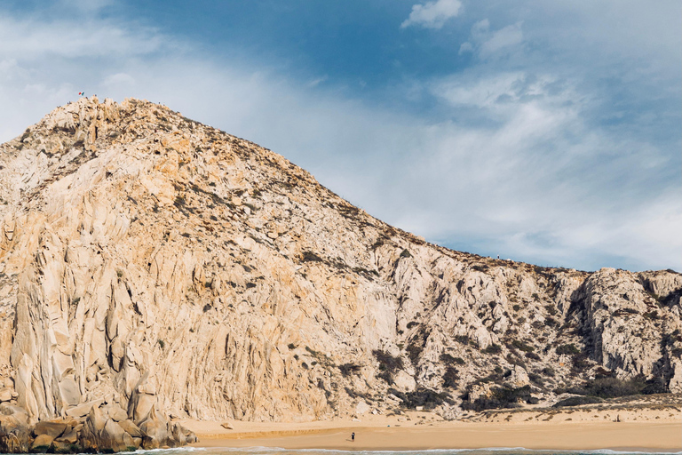 Ocean Safari in San Jose del Cabo