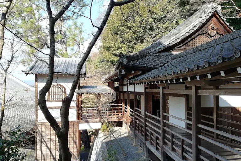 Kyoto : Whispers of Art, Zen &Love Couple’s Journey in Kyoto