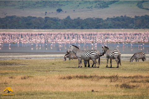 3-Day Wildlife Wonder! Tarangire, Lake Manyara & Ngorongoro.