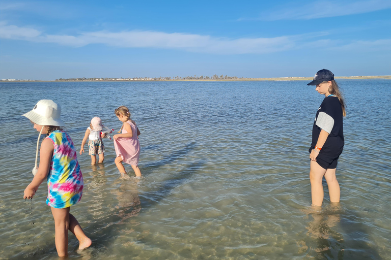 正宗杰尔巴：日落马车之旅和东方小吃正宗杰尔巴岛：日落马车之旅和免费东方小吃