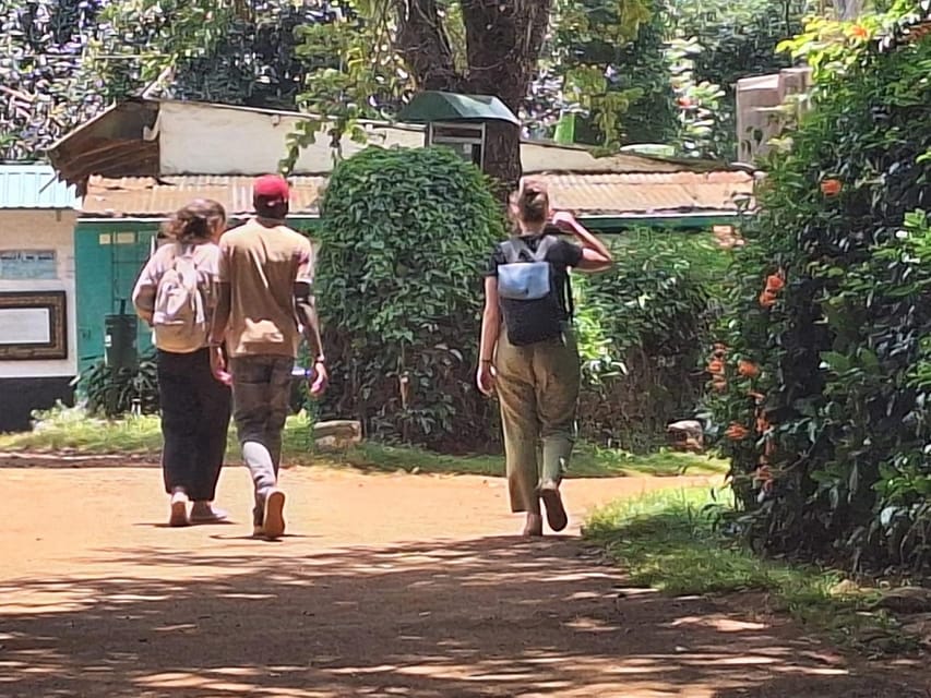 Nairobi: Fairview Coffee Estate Tour with Transfers | GetYourGuide