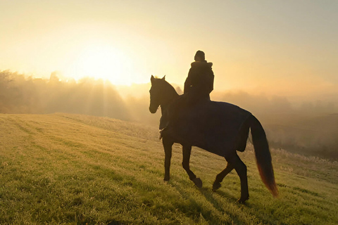 Punta Cana: Sunset Horseback Ride in Macao Beach and Forest