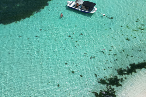 Guadalupa: escursione magica di mezza giornata in barca: mangrovie, isola, snorkeling.Guadalupa: escursione magica di 1/2 giorni in barca: mangrovie, isola, snorkeling.