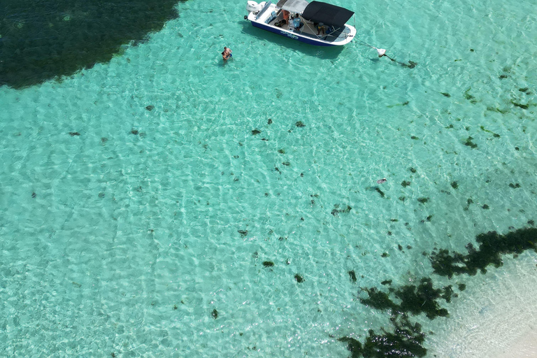 Guadeloupe: Magical half-day boat trip: mangrove, islet, snorkeling. Guadeloupe: Magical 1/2-day boat trip: mangrove, islet, snorkeling.