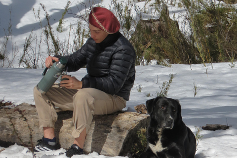 San Martín de los Andes: Private 4x4 Snow Forest Tour