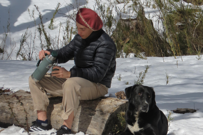 San Martín de los Andes: Private 4x4 Snow Forest Tour