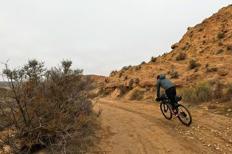 Granada: Gorafe Desert E-Mountain Bike Tour with Transfer