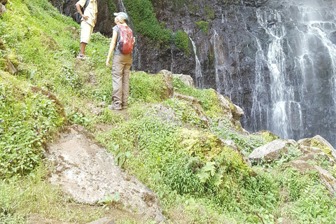 Moshi: Guided Waterfall Hike with Local Stories