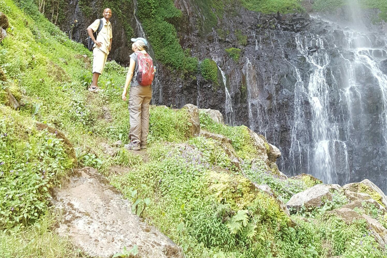 Moshi: Guided Waterfall Hike with Local Stories