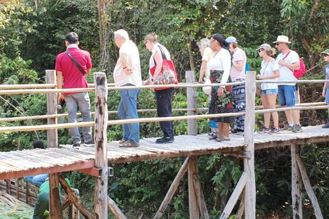 Siem Reap: Small Group Tour of Kulen Elephant Forest