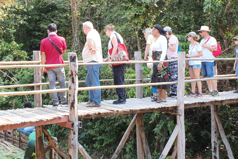 Siem Reap: Tour per piccoli gruppi della foresta degli elefanti di Kulen