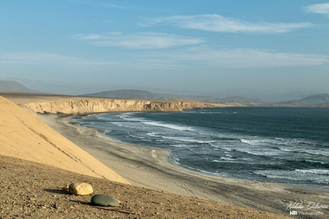 Explore the National Reserve: Guided Tour with Transportation