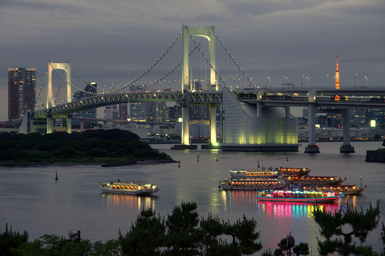 Tokyo Tour: Local Attractions, visit of Mosque & Halal Lunch