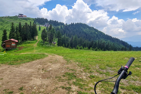 Ride Brașov’s Wild Trails with Daisy & Taste Local Life