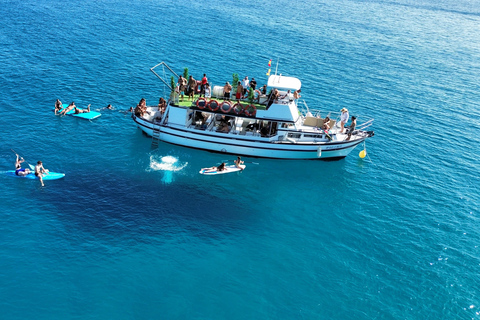 Costa Calma: Fuerteventura Dolphin Watching Boat Tour