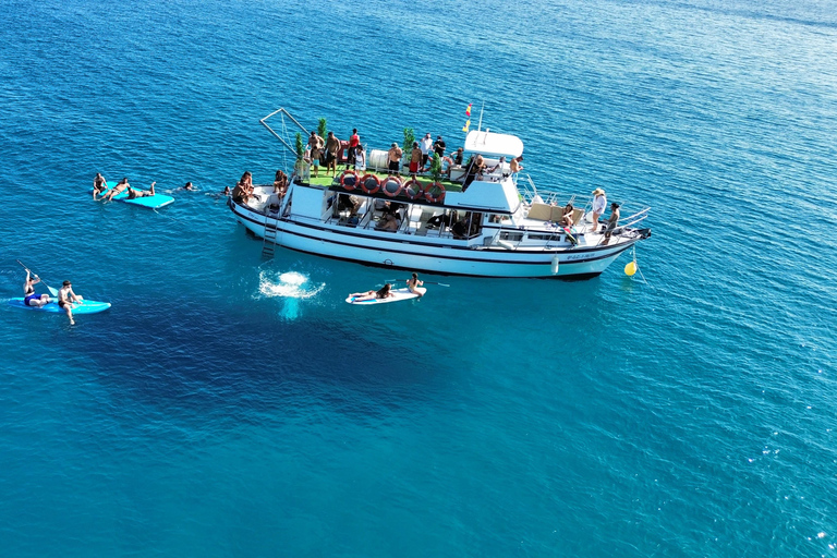 Costa Calma: Fuerteventura Dolphin Watching Boat Tour