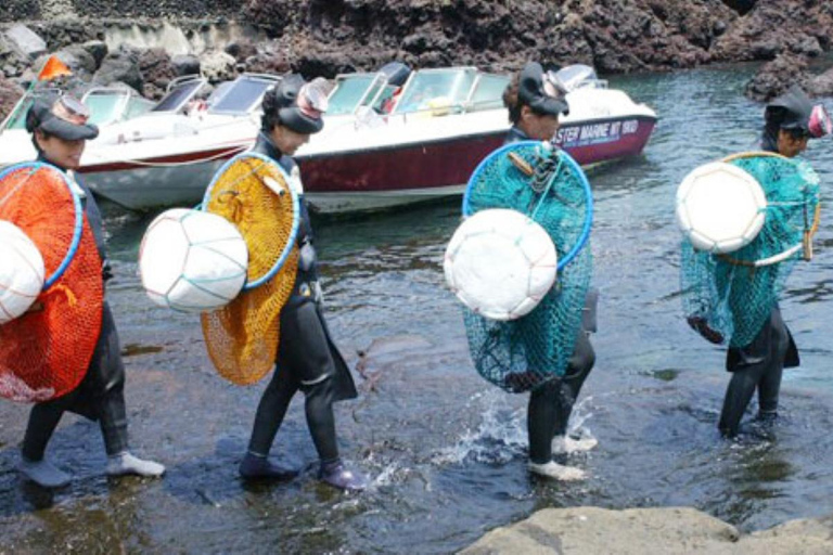 Jeju East Coast Photo Friendly Private Tour for Cruise Guest Jeju International Port