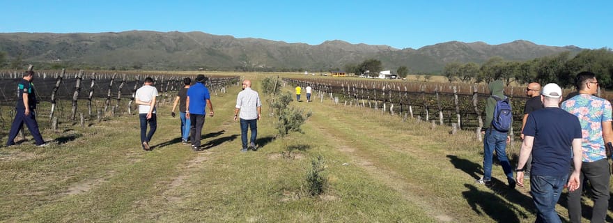 Cordoue : Wine Tour Privado a Calamuchita - Día completo