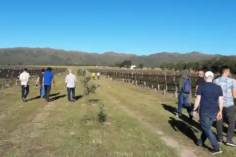 Córdoba: Wine Tour Privado a Calamuchita - Dia completo
