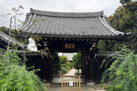 Yanaka &amp; Sendagi Tour: Ontdek de charme van de oude stad van Tokio