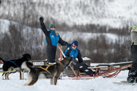 Tromsø: Easy Dog Sledding Tour & Kennel Visit