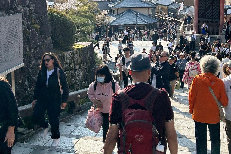 Kyoto: Kiyomizu & Gion Full-Day Tour with Dinner