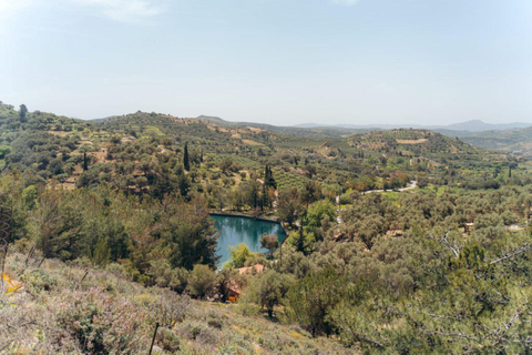 Découvrez le musée archéologique de Mesara et le lac ZarosDécouvrez les merveilles archéologiques et la beauté naturelle de la Crète