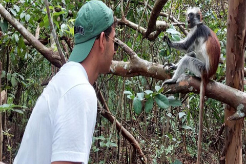 ZANZIBAR: Stone Town and Jozani Forest tour Tour without Hotel pickup and drop off