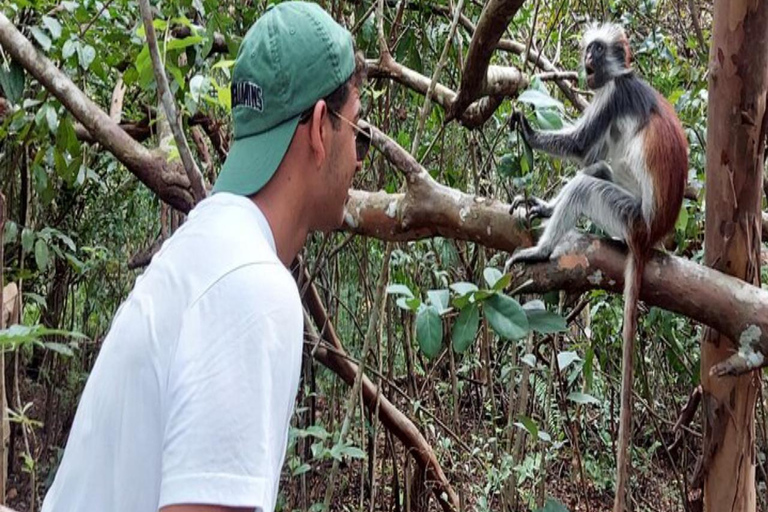 ZANZIBAR: Stone Town and Jozani Forest tour Tour without Hotel pickup and drop off
